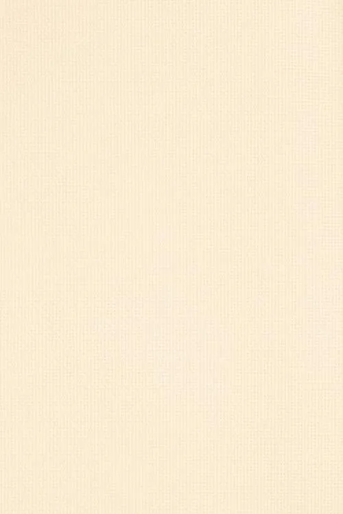 14ct Aida Cloth 15"x18"
